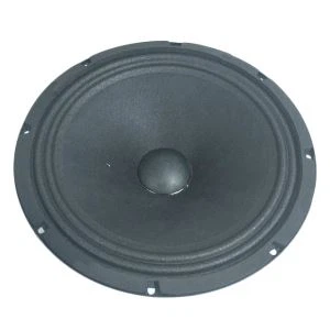 10 Coimeádaí Fuaime Inch Car Car-Middle