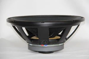 18 Cainteoir Córais PA Inch Professional