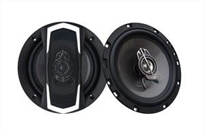 Cainteoir Gluaisteán 6.5inch Professionall